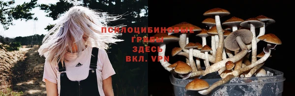 кокаин Алексеевка