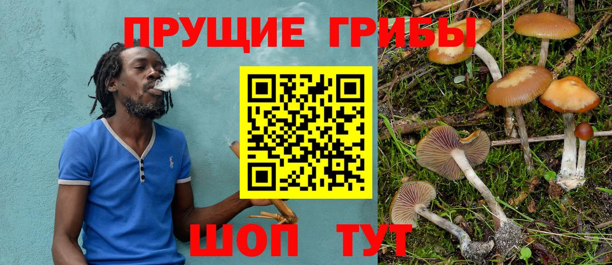 Псилоцибиновые грибы Psilocybe Чайковский