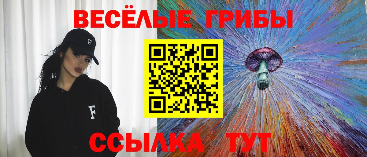 Чайковский  Псилоцибиновые грибы GOLDEN TEACHER  Вход с VPN 
